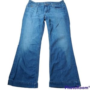 Banana Republic Jeans Bootcut Stretch Low Rise Blue Denim Woman Sz 6 32 X 29 Y2k